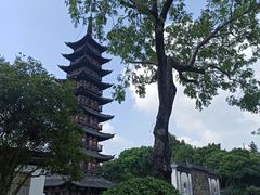 -上海方塔园