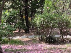 -贮水山儿童公园