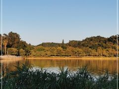 -南国桃园旅游度假区