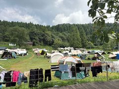 -武陵山森林公园