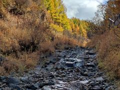 -苏木山森林公园