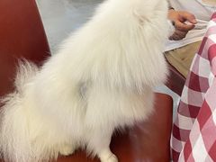 -吉源大排档·鱼生·海鲜(烧烤彩印厂店)