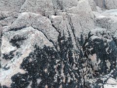 景点-北岐滩涂