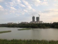 -华侨城湿地公园