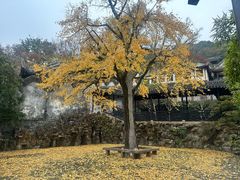 -无锡惠山寺