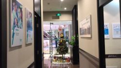 -史云逊养发护发