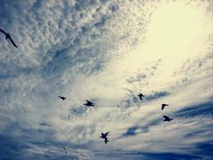 -海驴岛(荣成市)