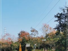 -上海海湾国家森林公园