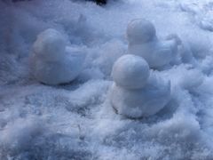 -北海道厅旧本厅舍(旧本庁舎)