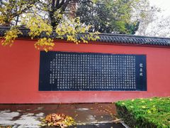 -百脉泉景区