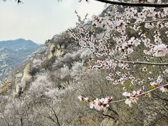 -北京凤凰岭