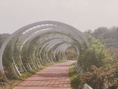 -天生桥景区