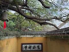 -普陀山慧济禅寺