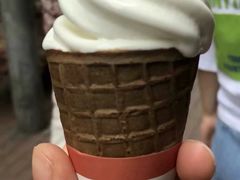 -富豪雪糕车流动点(尖沙咀店)