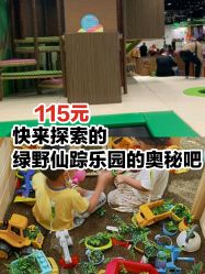 -绿野星空儿童乐园