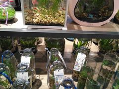 -酷乐潮玩(金桥国际店)