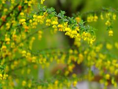 -渭河城市绿地运动公园