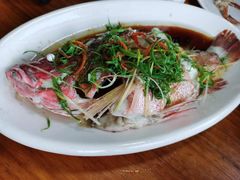 -南蚝小贝海鲜特色餐厅(南澳岛店)