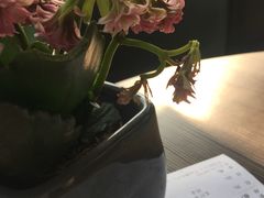 -gaga(深圳南山益田假日广场店)