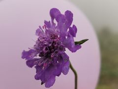 -白草畔自然风景区