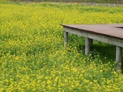 android_upload_pic-红山村