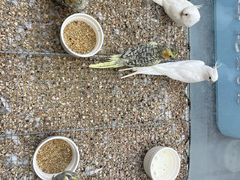 -万达广场(南京江宁店)