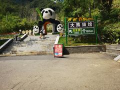 -栾川竹海野生动物园