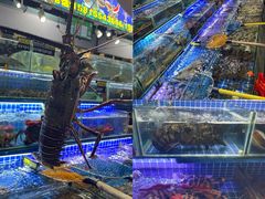 -大东海海鲜酒楼(渔人码头总店)