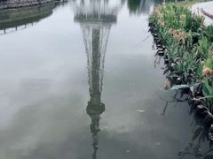 -文华公园(禅城区)