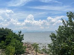 -深圳湾公园(南山区)