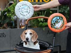 -Grande A'moo(上海万象城店)