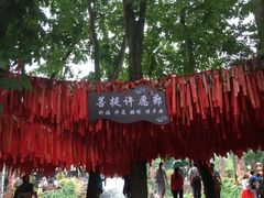 -黄龙溪古镇
