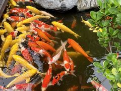 -顺德渔村·岭南一号