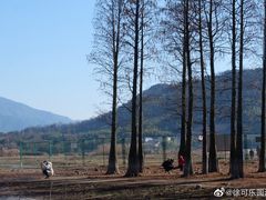 -四明湖