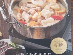 招牌花胶龙趸鱼锅-顺峰(农展馆店)