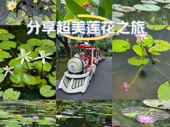 -云溪植物园