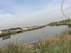 -阅海欢乐岛