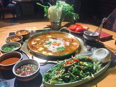 鱼皮拌苦菊-顶顶汤火牛排火锅·经典铜锅涮肉