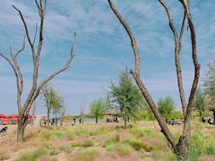 -黄沙古渡原生态旅游区