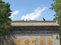 -大槐树寻根祭祖园