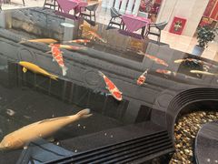 -唐山河头老街国丰维景国际大酒店