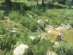 -西安秦岭野生动物园