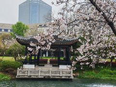 -苏州独墅湖世尊酒店