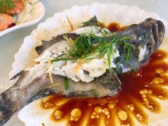 清蒸石斑鱼-覃记海鲜美食餐厅