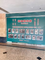 -梧桐照相馆(维景国际店)