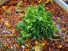 -陈胖子鱼庄(黄辣丁新津店)