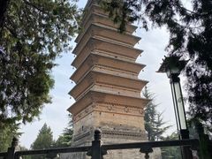-洛阳白马寺