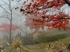 -四明山国家森林公园