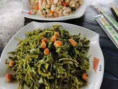 -京北渔家傲