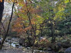 -玉渡山自然风景区